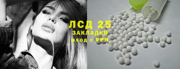 спиды Богданович