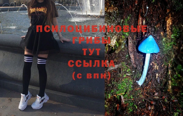 spice Беломорск