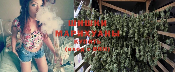 спиды Богданович