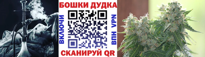 Каннабис план  закладка  Пестово 